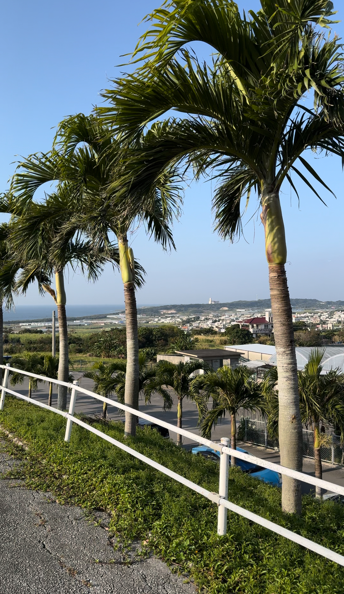 エアコン洗浄 in沖縄